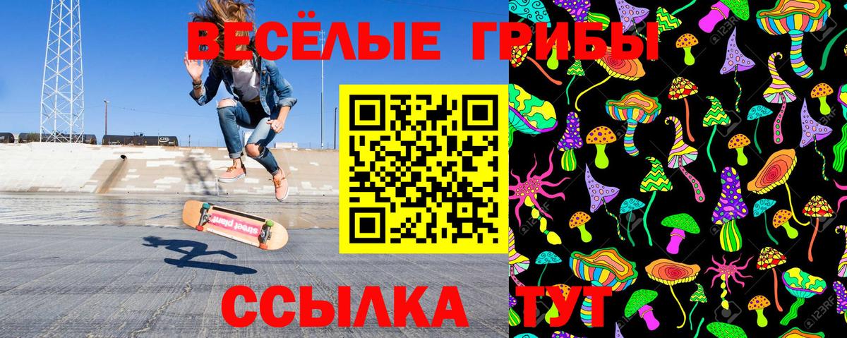 Галлюциногенные грибы Psilocybe Екатеринбург