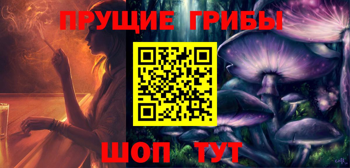 Псилоцибиновые грибы Psilocybe  что такое наркотик  Галлюциногенные грибы мухоморы  Екатеринбург  Вход с VPN 